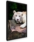 Quadro Tigre Deitado - comprar online