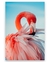 Quadro Flamingo Rosa