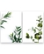 Kit Quadro Plantas Botanics - Bella art Quadros