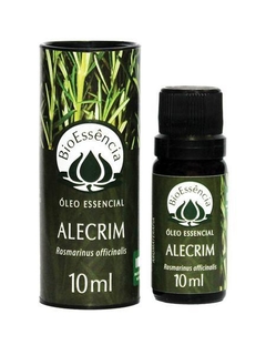 Alecrim Rosmarinus officinalis