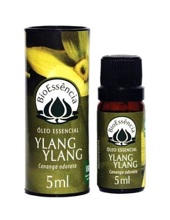 Ylang Ylang Cananga odorata