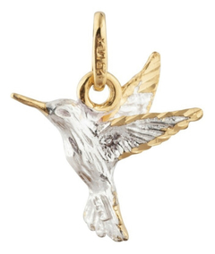 Colibri con Cadena de Plata ley .925