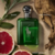 Ralph Lauren - Polo Cologne Intense Eau De Parfum - Decant na internet