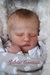 Bebê Reborn kit Owen Asleep na internet
