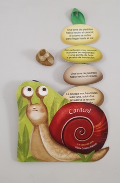 Caracol - comprar online