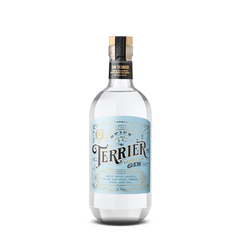 gin terrier spicy