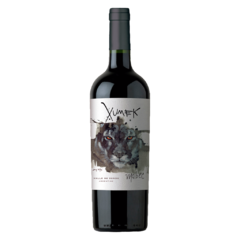 XUMEK VALLE DE ZONDA MALBEC - comprar online