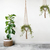 Suporte de plantas vintage para vasos de plantas corda - comprar online