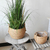 Cesta de plantas jardim vaso de flores - Natural Hand Rattan - Casa Vick - Utensílios domésticos 
