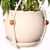 Suporte de plantas vintage para vasos de plantas corda - Casa Vick - Utensílios domésticos 