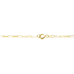 Corrente Masculina Malha Cartier Longa feita em Ouro 18K - comprar online