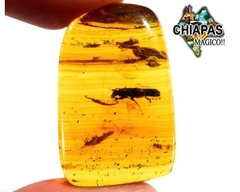 Ámbar Amarillo con Insecto #016 - Chiapas Mágico