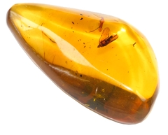 Ámbar Amarillo con Insecto #020 - tienda en línea