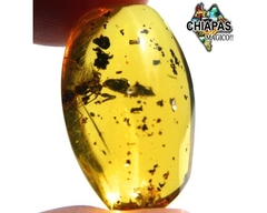 Imagen de Ámbar Amarillo con Insecto #021