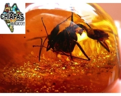 Ámbar Amarillo con Insecto #032 - Chiapas Mágico