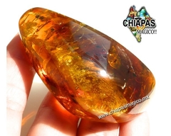 Ámbar Caramelo con Insectos #035 (6 CM) - Chiapas Mágico