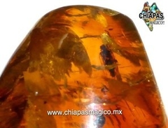 Imagen de Ámbar Caramelo con Insectos #035 (6 CM)