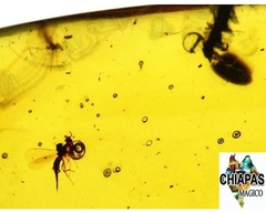 Ámbar Amarillo con Insecto #038 en internet