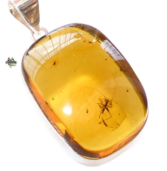 Dije De Ámbar Con Insectos & Plata Ley #012