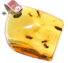 Dije de Ámbar con Insectos & Plata Ley #020