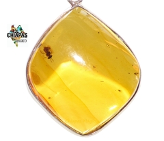 Dije De Ámbar Con Insectos & Plata Ley #015 - comprar en línea
