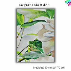 La gardenia 2 de 2