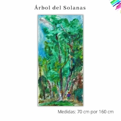 Árbol del Solanas