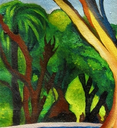 Árbol de San Isidro - arte La Lucila