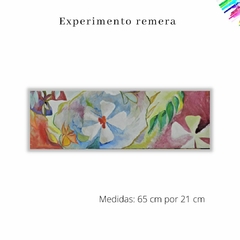 Experimento remera