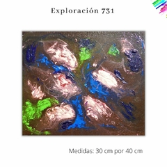 Exploración 731