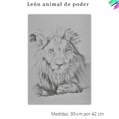 Un león