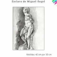 Esclavo de Miguel Ángel