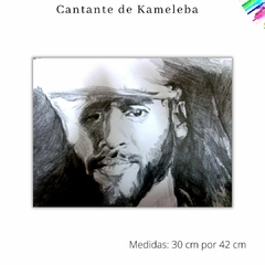 Luis de Kameleba