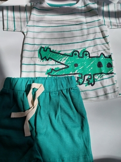 Conjunto cocodrilo en internet