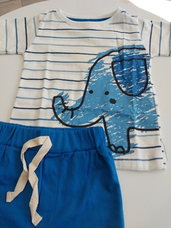 Conjunto elefante en internet