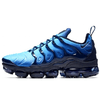 Nike Vapormax Plus