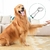 Imagem do Secador para pets 2 em 1 BrushPet Duo: Perfeito no Cuidado e Higiene do seu Pet