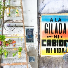 AFICHE GILADA en internet