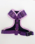 Arnes ajustable violeta - comprar online