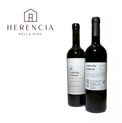 Ginard Ballester - Antonia Ginard Malbec de Parcela - comprar online