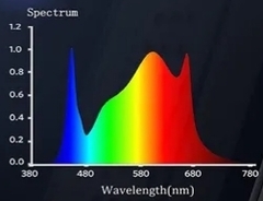 Imagen de equipo led sun pro 135 w CITIZEN +OSRAM