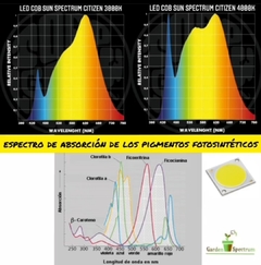 Equipo LED CITIZEN + OSRAM 435W ALTA EFICIENCIA en internet