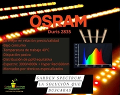 Equipo led SUN OSRAM SIMIL QUANTUM 250W - Garden Spectrum