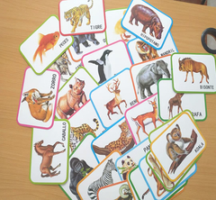 Flashcards Animales