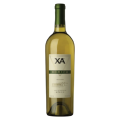 Vino Blanco Domecq XA Blanc De Blanc 750 ml