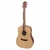 Violão Giannini FK-1 Performance Pro Aço Natural