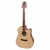 Violão Giannini FK-2 Performance Pro Aço Natural