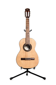 Guitarra modelo c175