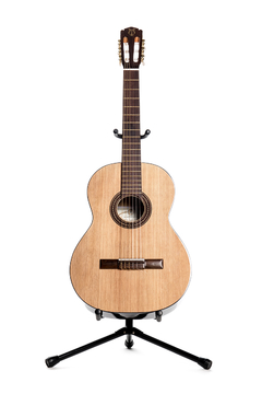 Guitarra modelo c200
