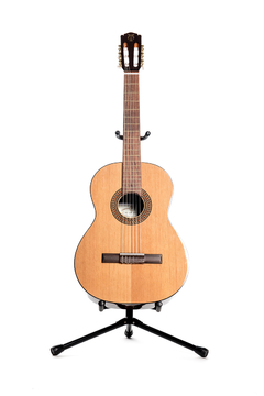 Guitarra modelo c380
